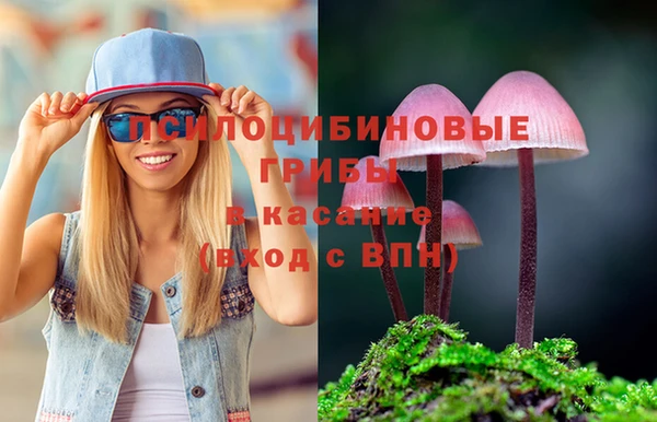 молекула духа Алзамай