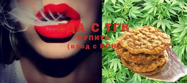мдпв Осташков