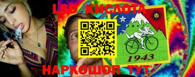 прущие грибы Северобайкальск