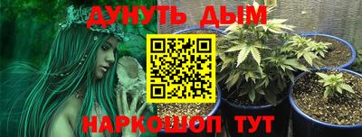 гидропоника Севастополь