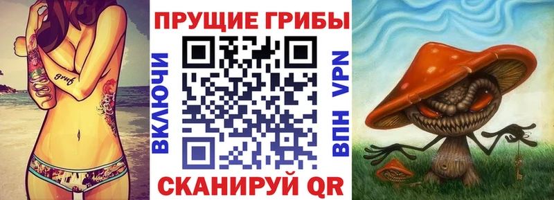 блэк спрут ONION  наркота  Орск  Галлюциногенные грибы мухоморы 