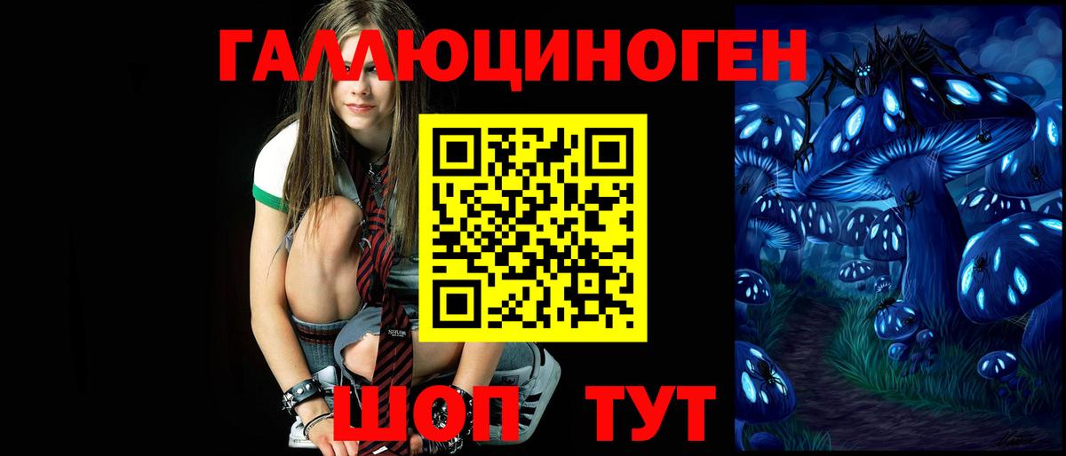 Псилоцибиновые грибы GOLDEN TEACHER Орск