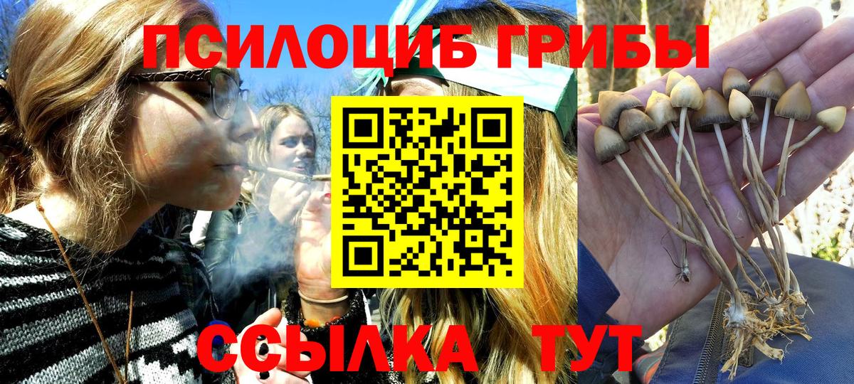 Орск  Псилоцибиновые грибы Psilocybine cubensis  Вход с VPN  Галлюциногенные грибы мухоморы 